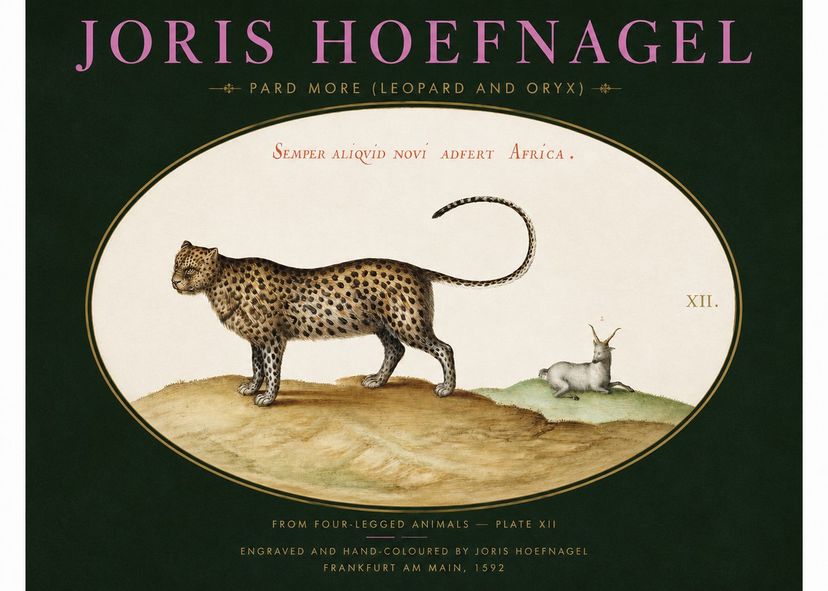 Joris Hoefnagel Pard More (Leopard and Oryx) No2 - Plakat