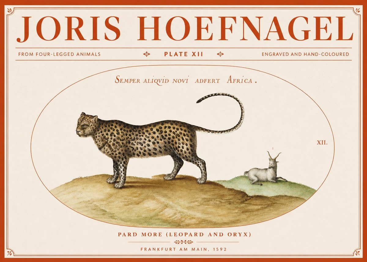 Joris Hoefnagel Pard More (Leopard and Oryx) No3 - Plakat