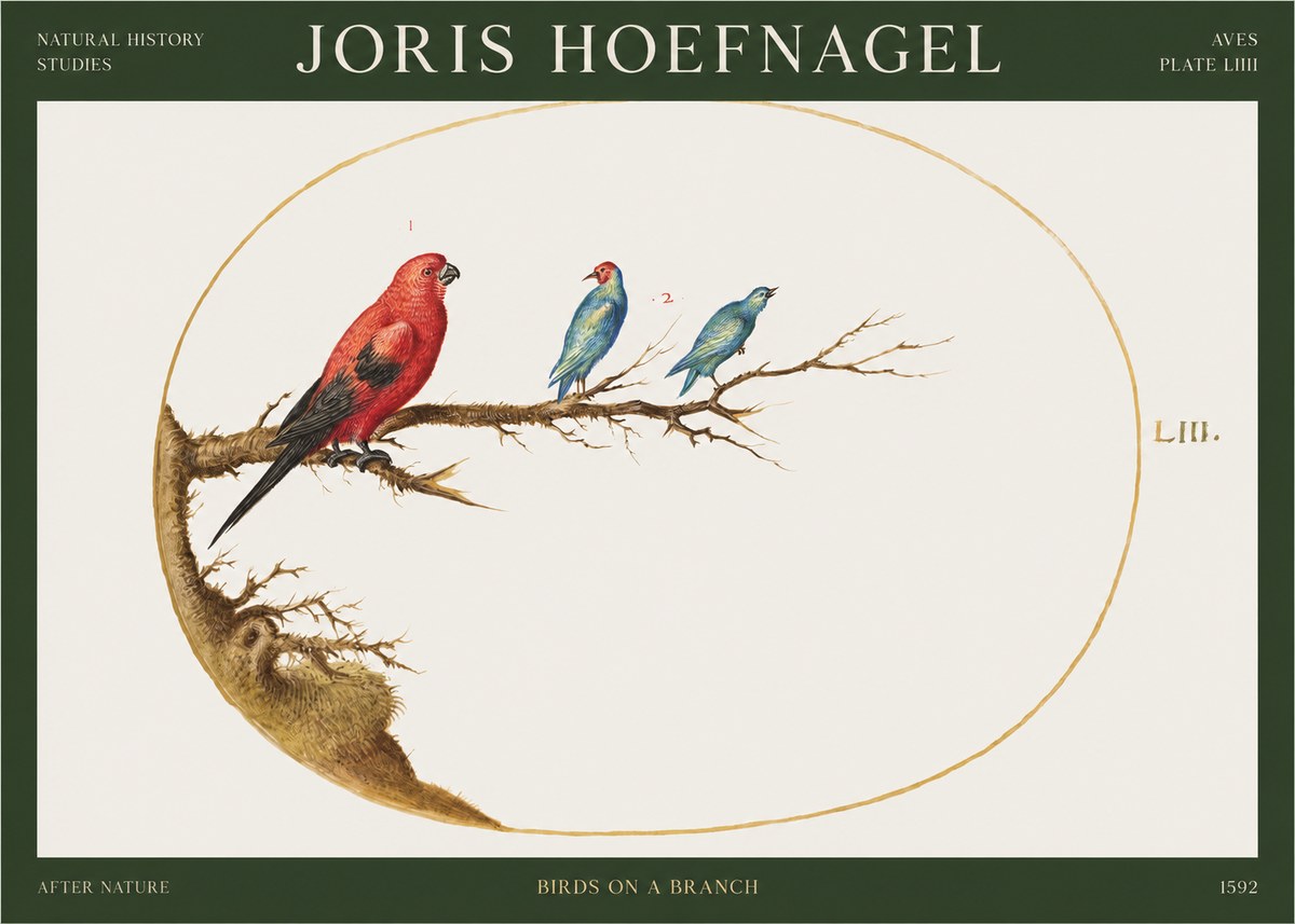 Joris Hoefnagel Birds on a Branch No1 - Plakat