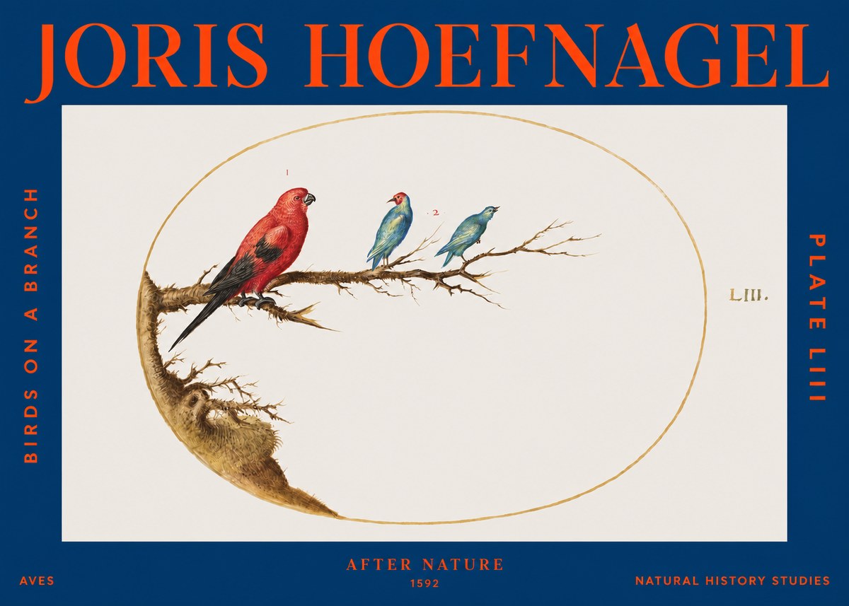 Joris Hoefnagel Birds on a Branch No3 - Plakat