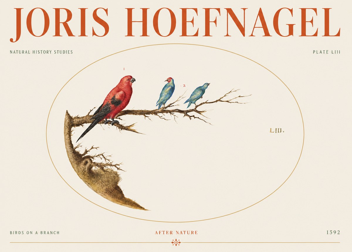 Joris Hoefnagel Birds on a Branch No5 - Plakat