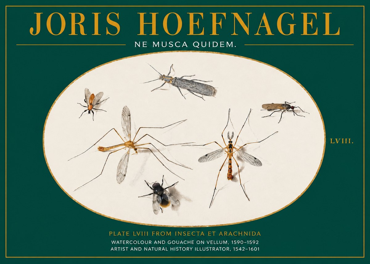 Joris Hoefnagel Plate Lviii from Insecta Et Arachnida No2 - Plakat