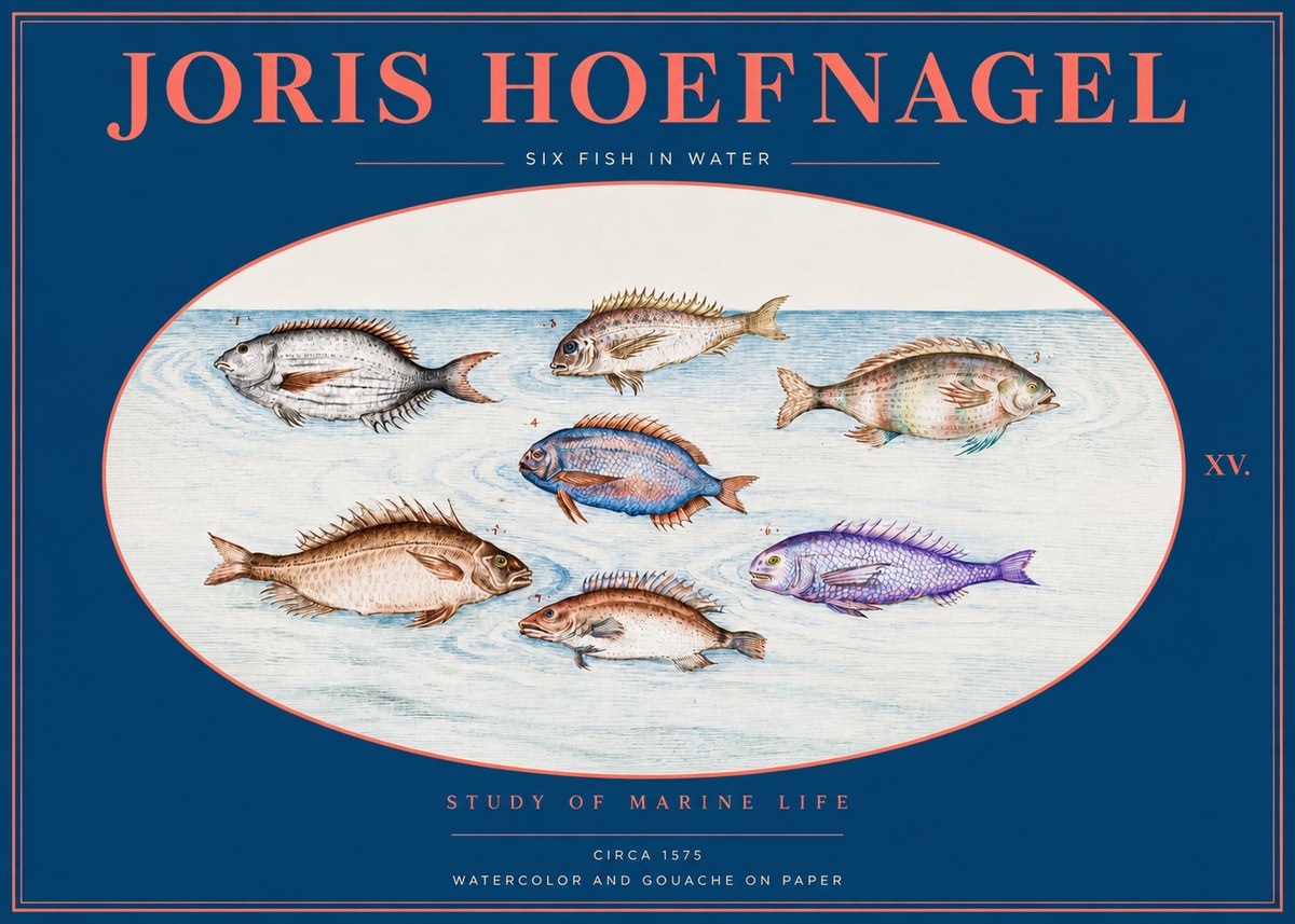 Joris Hoefnagel Six Fish in Water No2 - Plakat