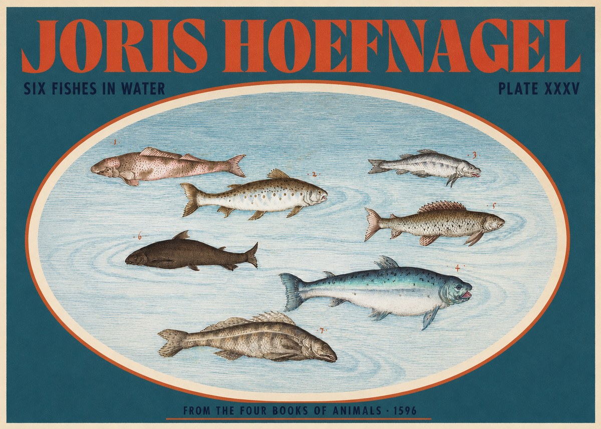 Joris Hoefnagel Six Fishes in Water I No2 - Plakat