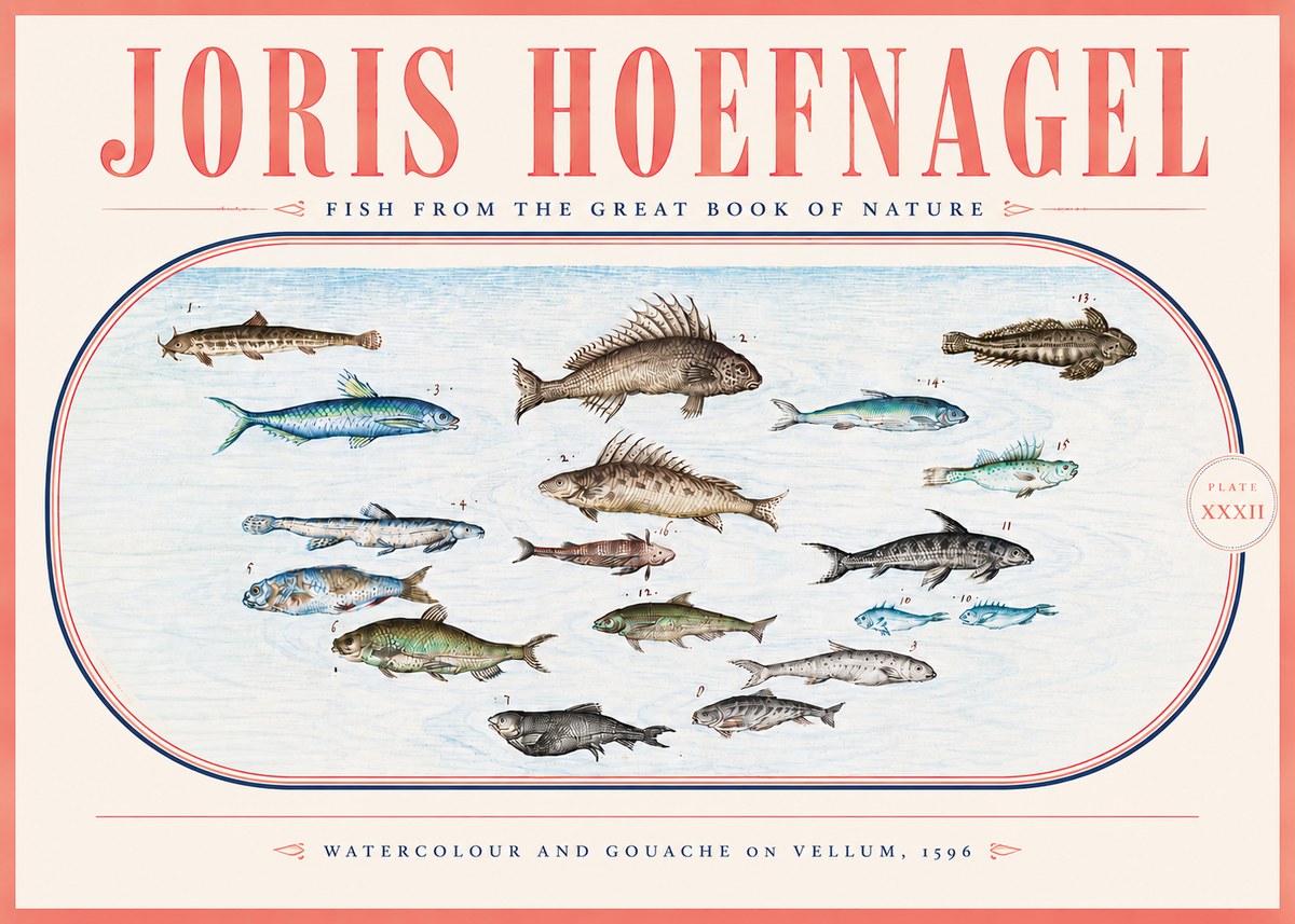 Joris Hoefnagel Fish from the Great Book of Nature No5 - Plakat