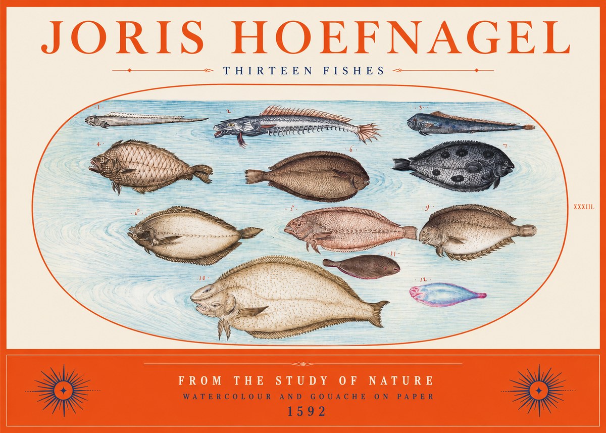 Joris Hoefnagel Thirteen Fishes from the Study of Nature No2 - Plakat