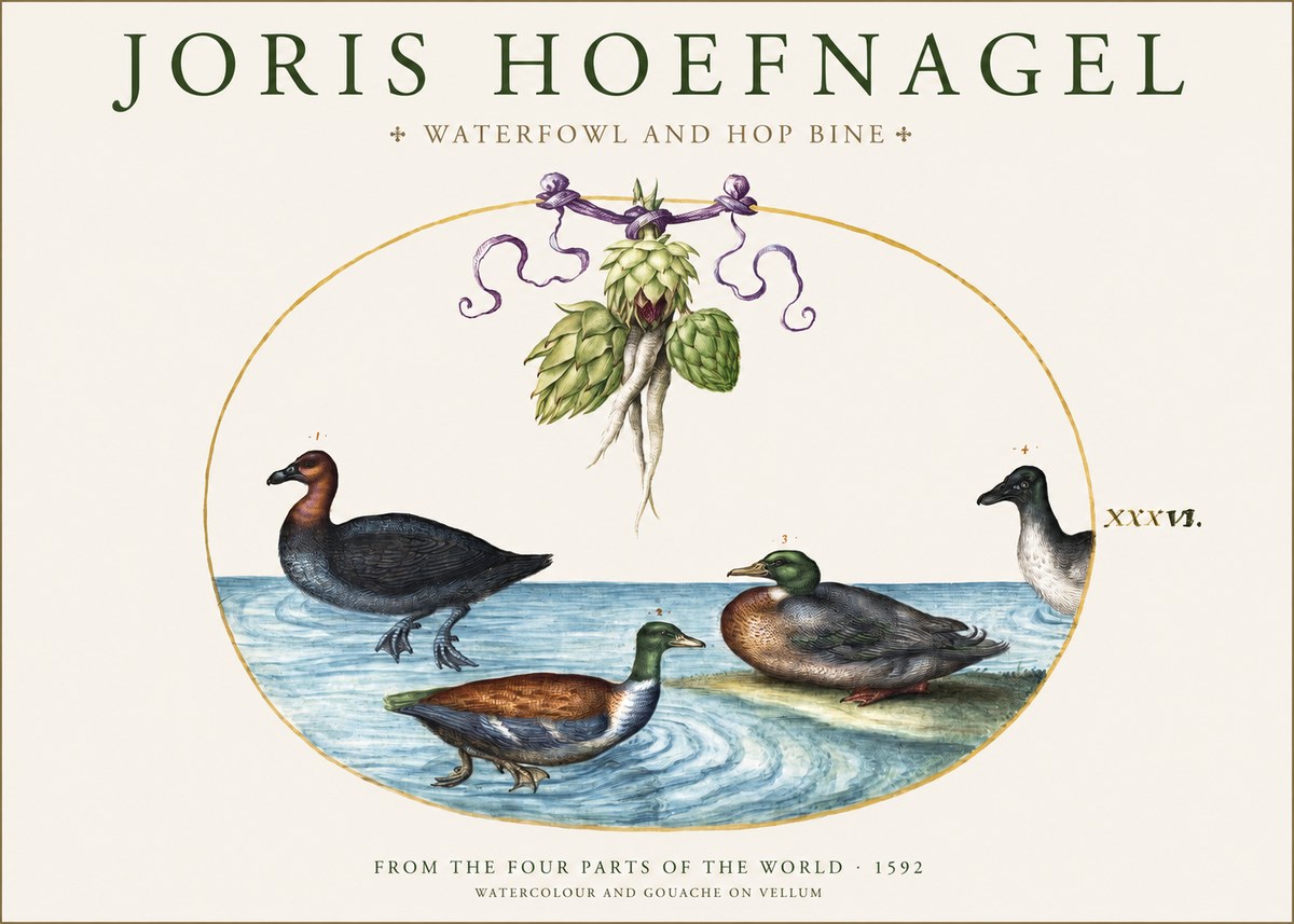 Joris Hoefnagel Waterfowl and Hop Bine No1 - Plakat