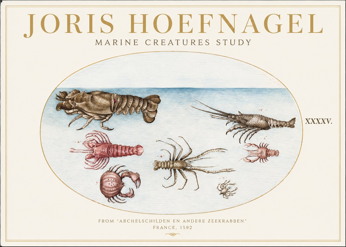 Joris Hoefnagel Studies of Crustaceans No2 - Plakat