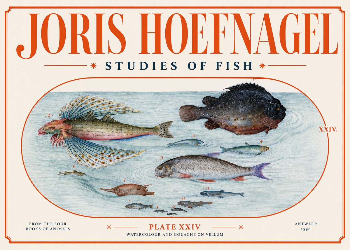 Joris Hoefnagel Studies of Fish II No4 - Plakat