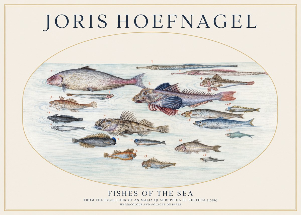 Joris Hoefnagel Fishes of the Sea III No1 - Plakat
