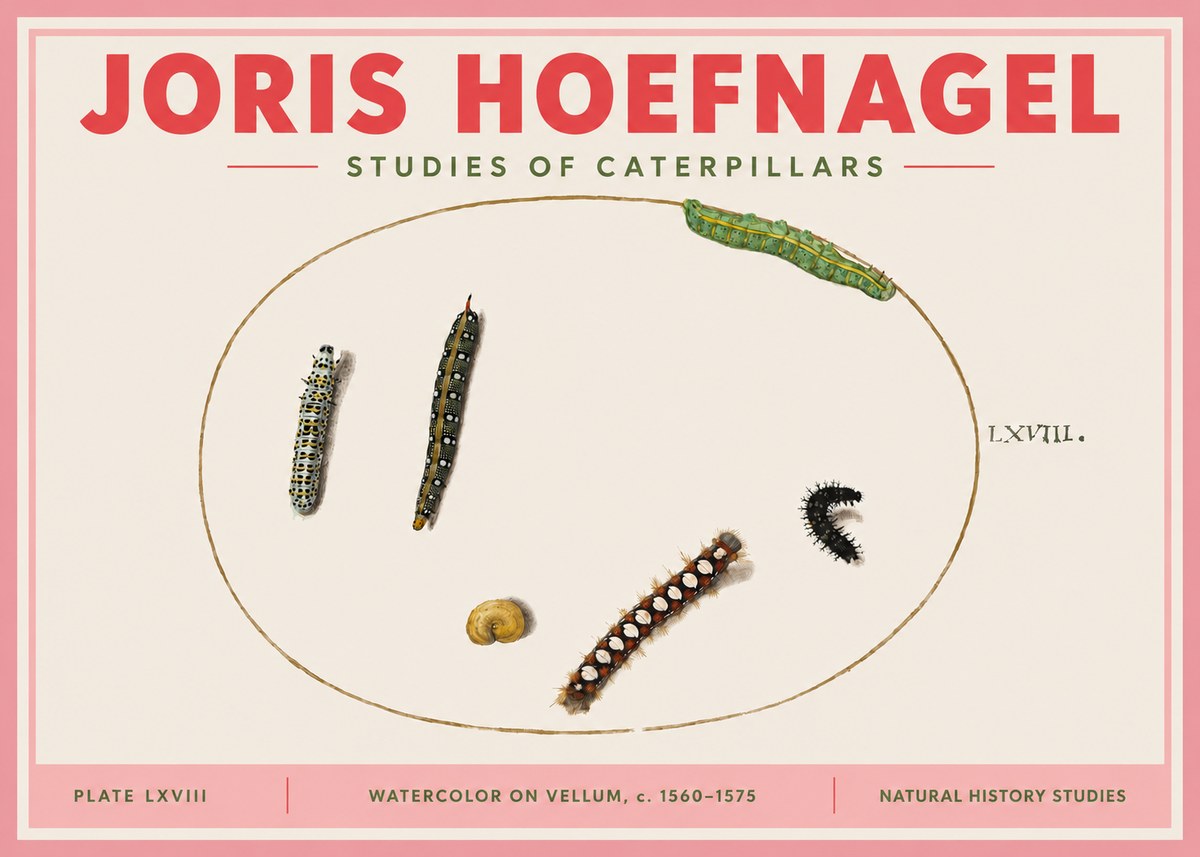 Joris Hoefnagel Studies of Caterpillars No3 - Plakat