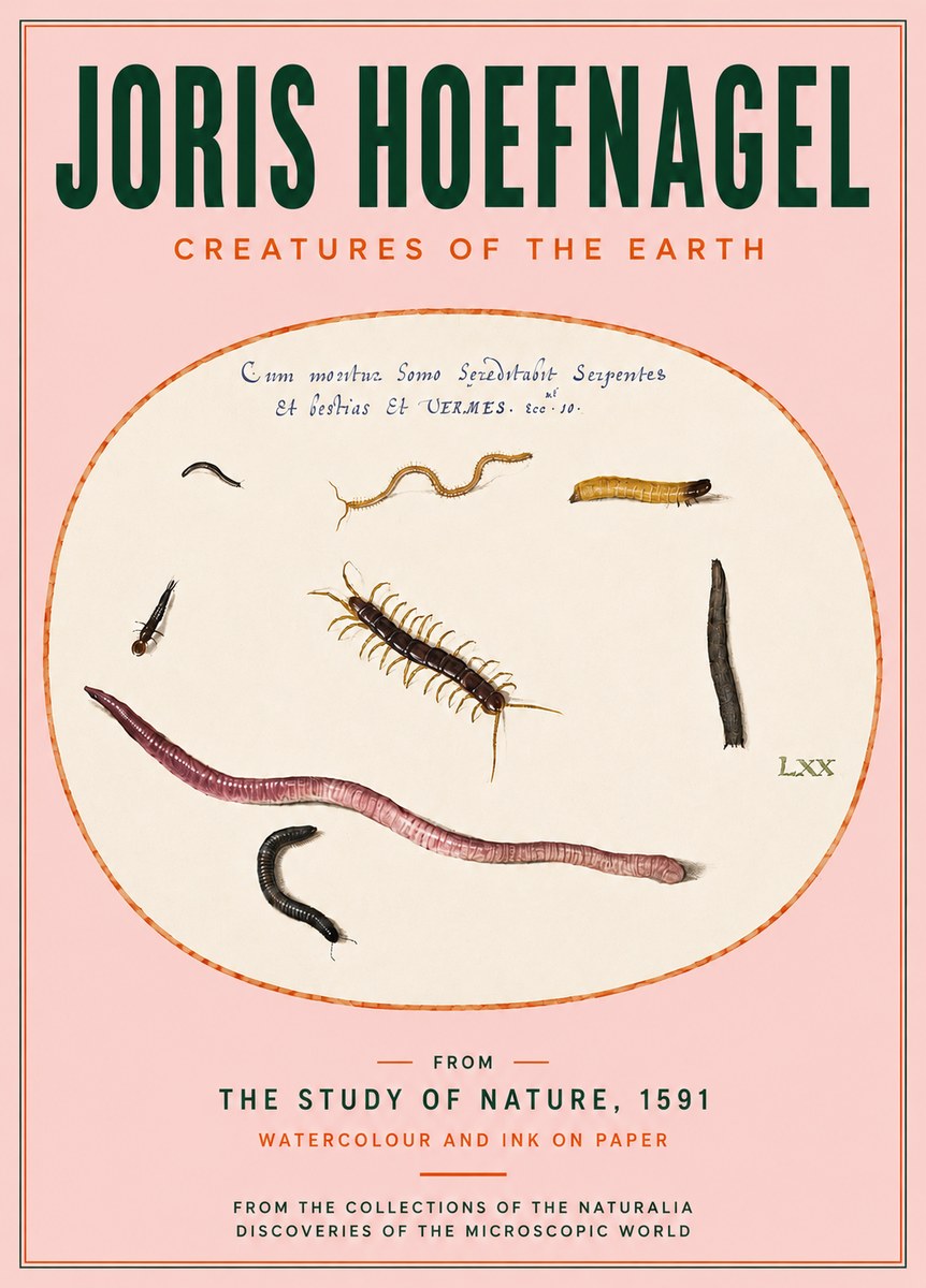 Joris Hoefnagel Creatures of the Earth II No4 - Plakat