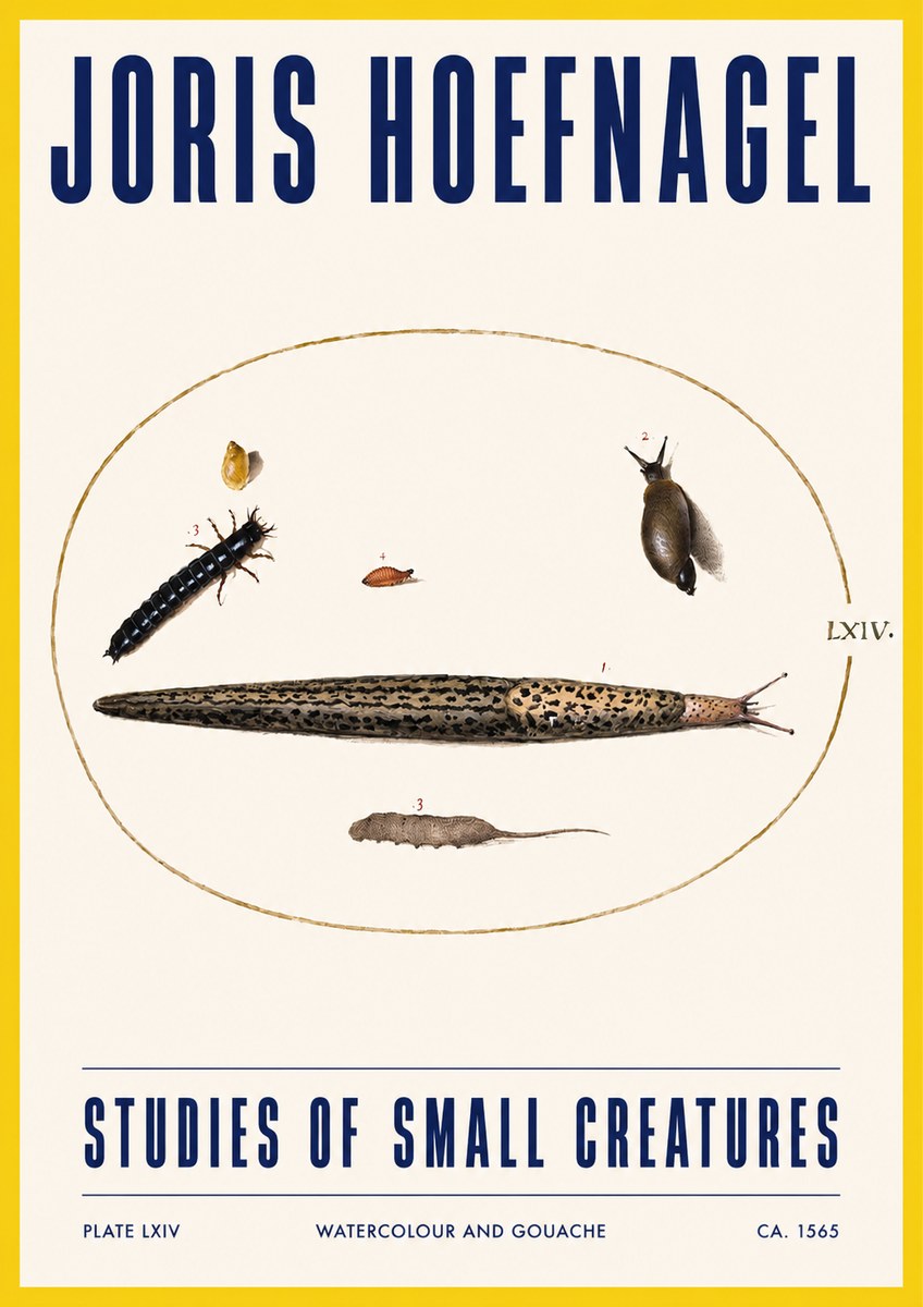 Joris Hoefnagel Plate Lxiv No3 - Plakat