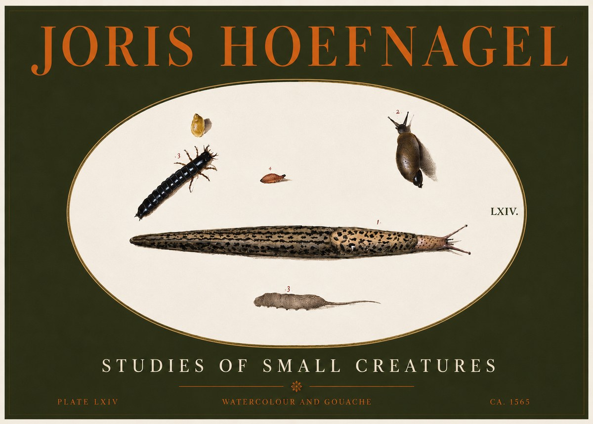Joris Hoefnagel Plate Lxiv No4 - Plakat