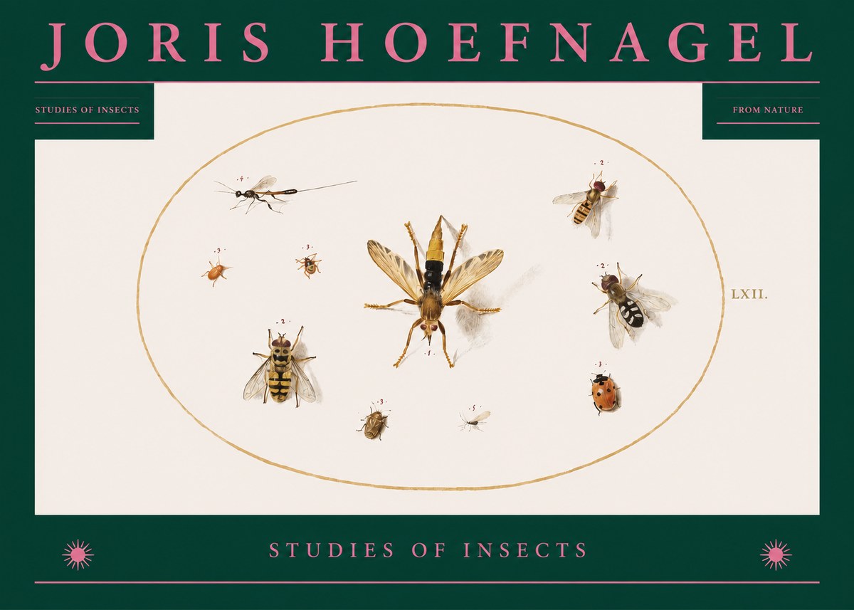 Joris Hoefnagel Studies of Insects IV No2 - Plakat