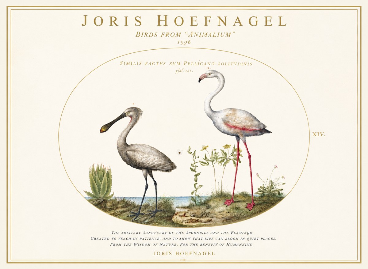 Joris Hoefnagel The Solitary Sanctuary of the Spoonbill and the Flamingo No1 - Plakat