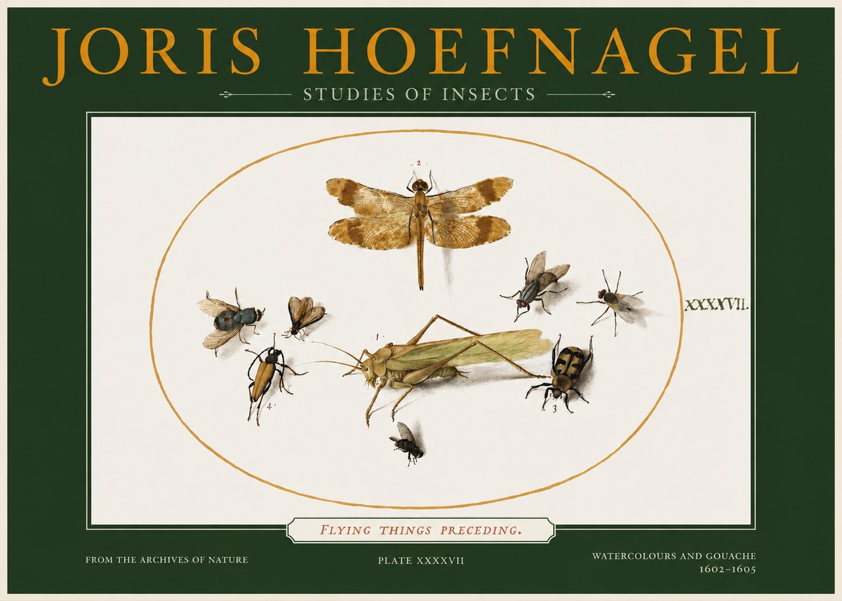 Joris Hoefnagel Flying Things Preceding. No2 - Plakat
