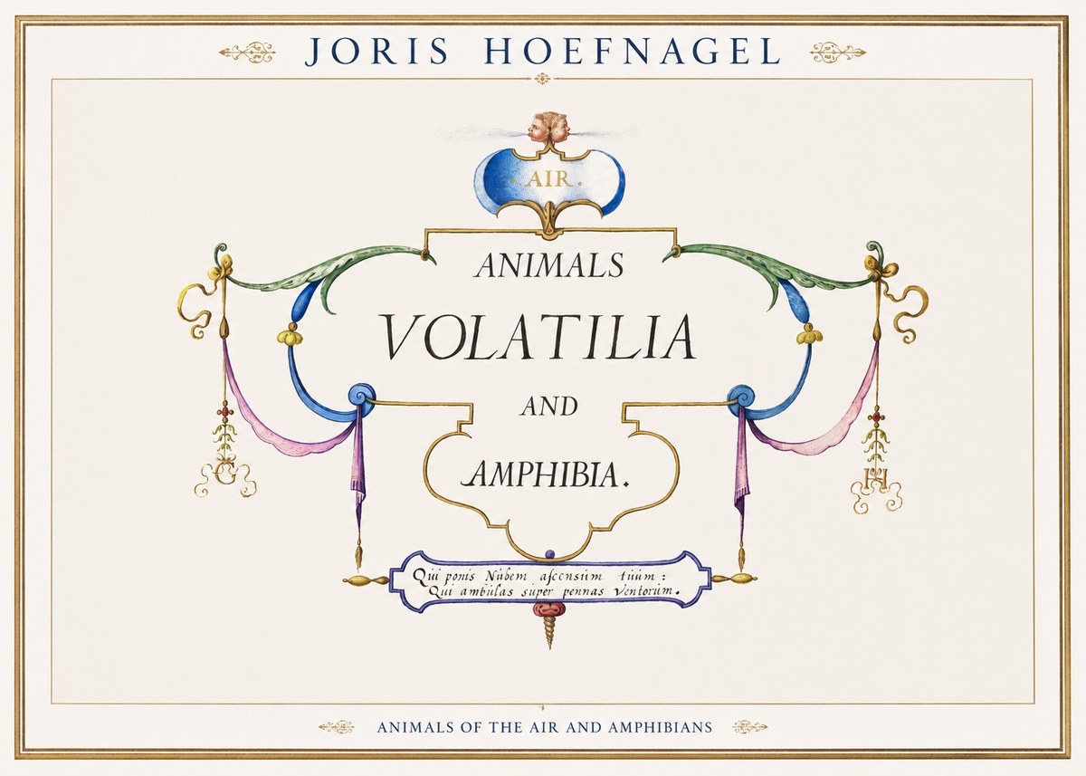 Joris Hoefnagel Animals Volatilia and Amphibia. No1 - Plakat