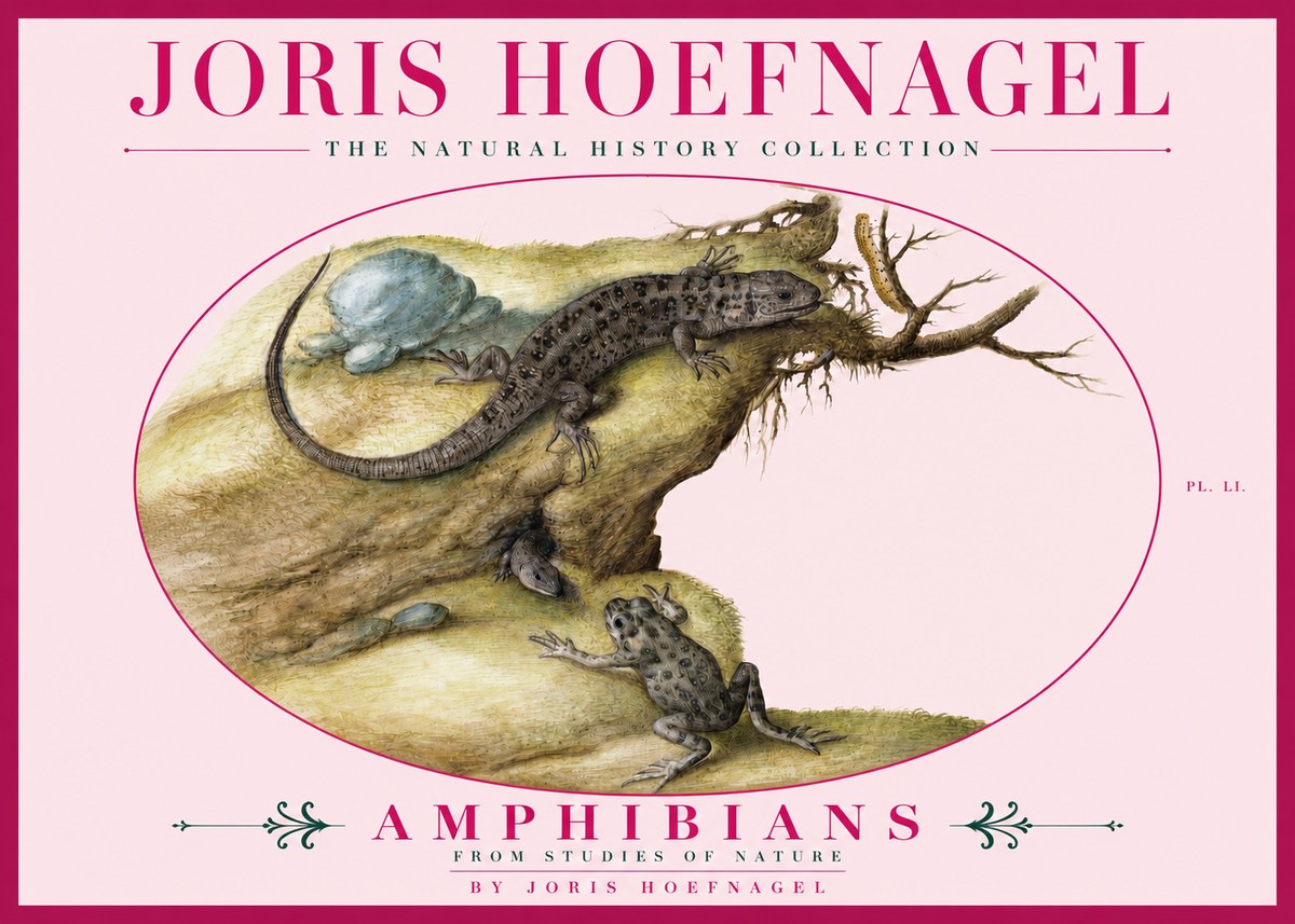 Joris Hoefnagel Amphibians from Studies of Nature No3 - Plakat