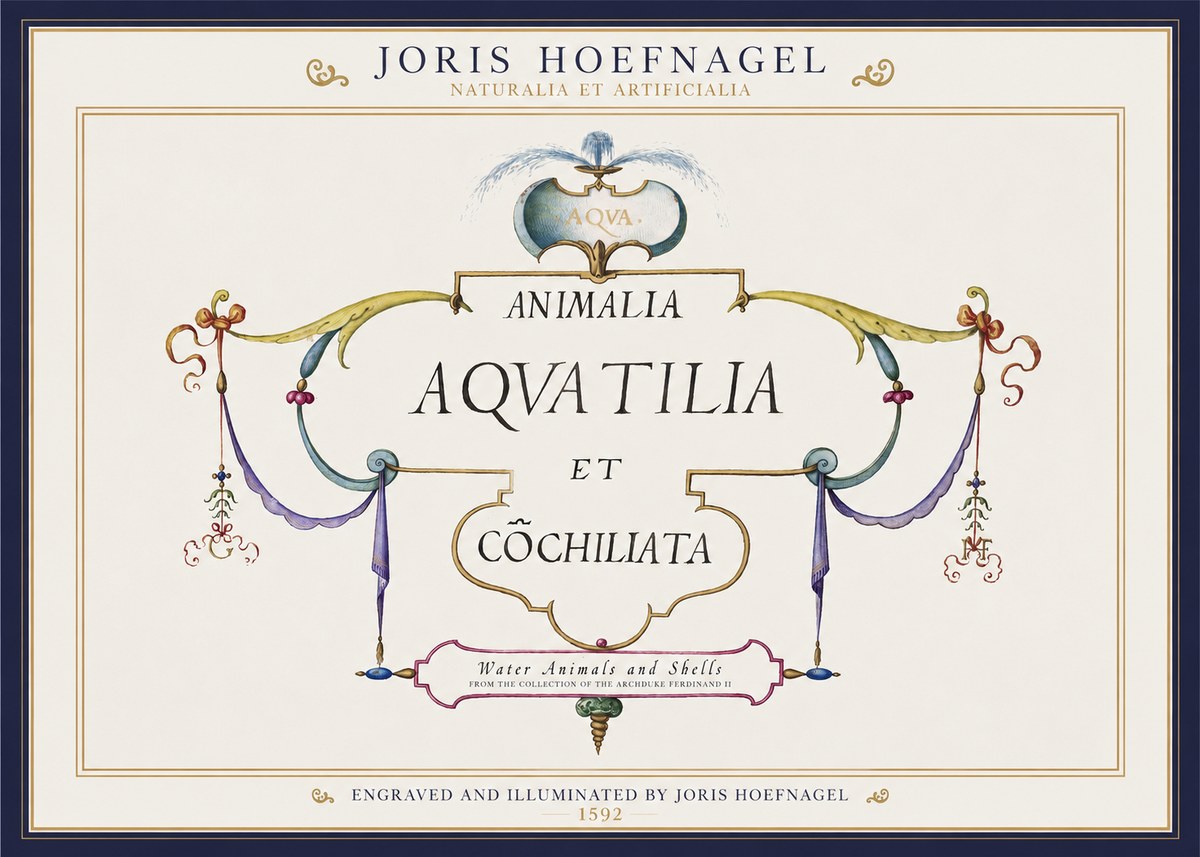 Joris Hoefnagel Animalia Aquatilia Et Cochiliata No1 - Plakat