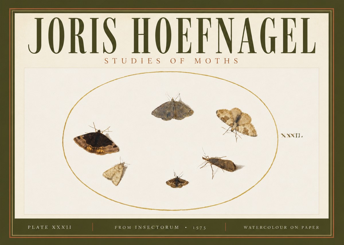 Joris Hoefnagel Studies of Moths III No4 - Plakat