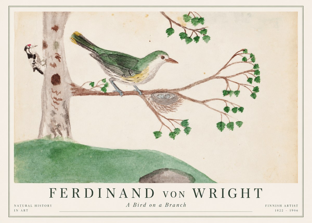 Ferdinand von Wright Green Warbler with Nest No2 - Plakat
