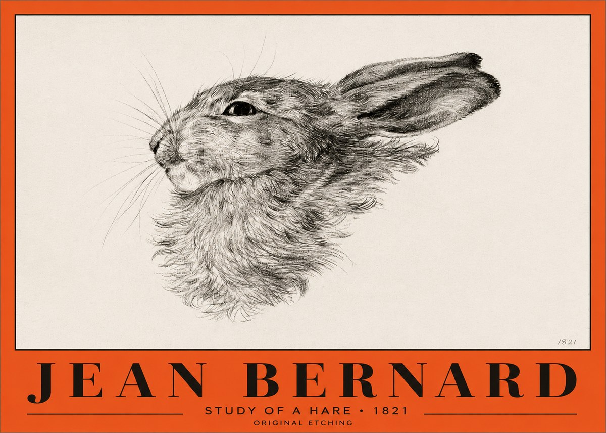Jean Bernard Study of a Hare No2 - Plakat
