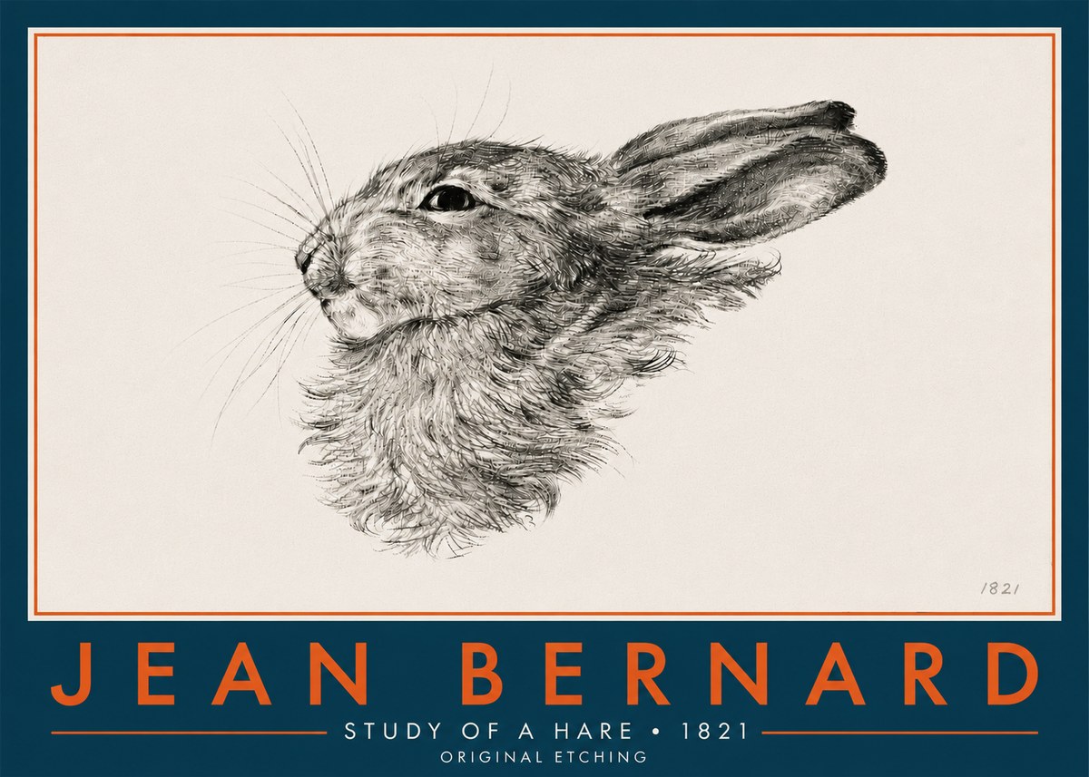 Jean Bernard Study of a Hare No6 - Plakat
