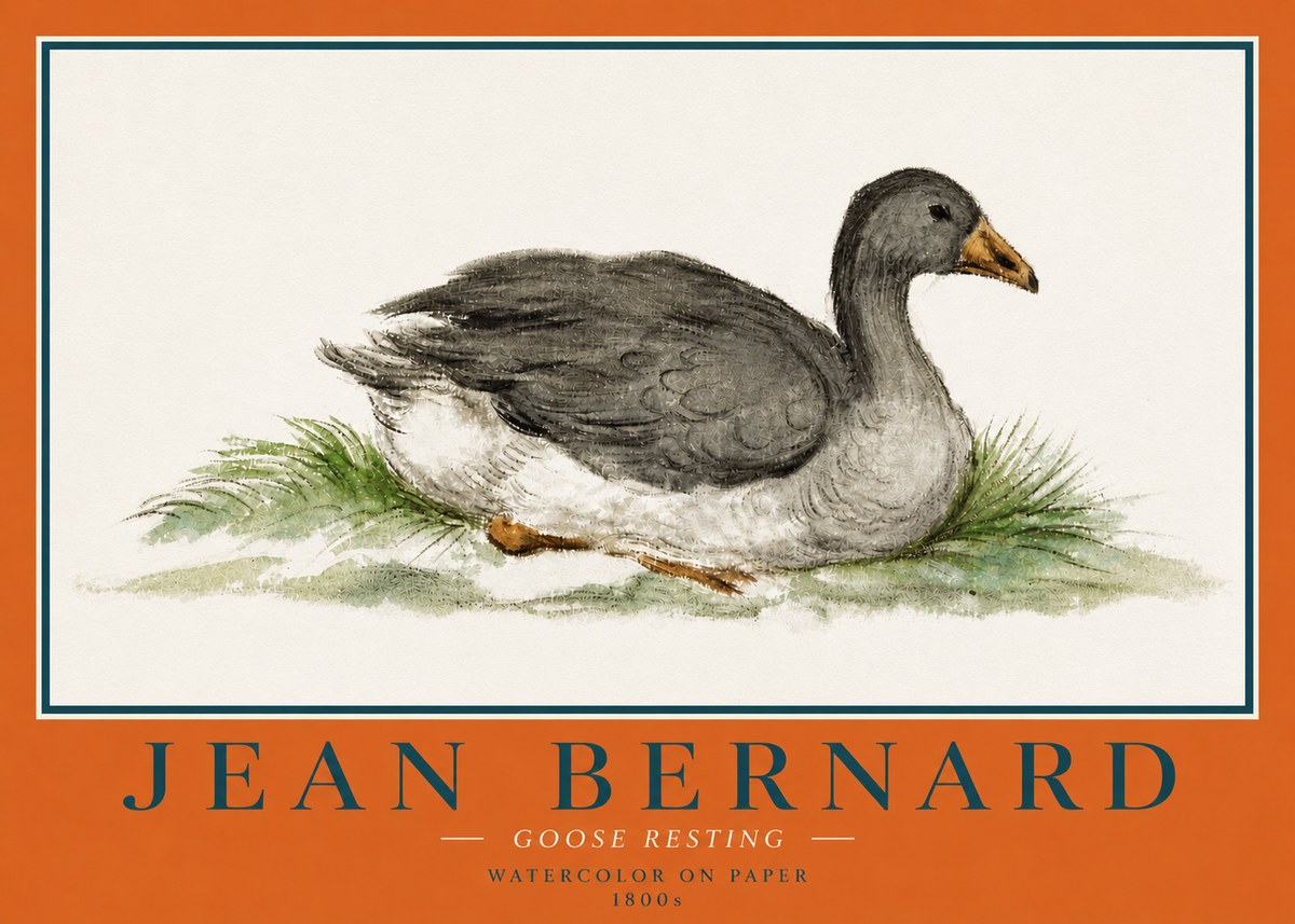 Jean Bernard Goose Resting No4 - Plakat