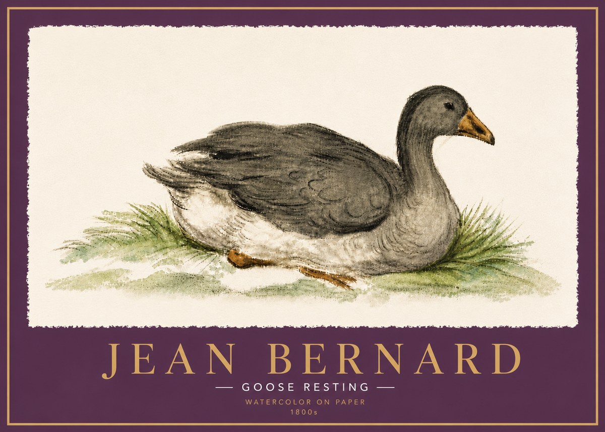 Jean Bernard Goose Resting No6 - Plakat