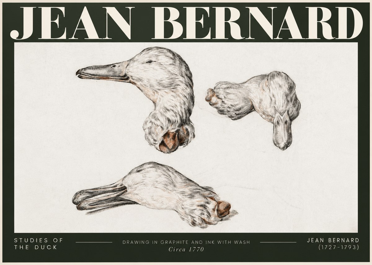 Jean Bernard Studies of the Duck No5 - Plakat