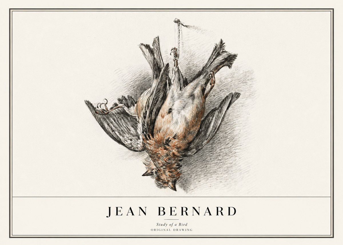 Jean Bernard Study of a Bird IV No1 - Plakat