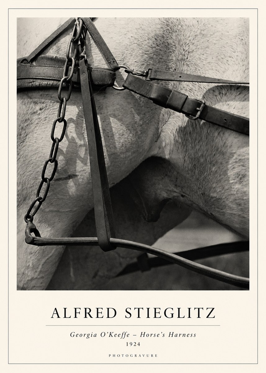 Alfred Stieglitz The Steerage I No2 - Plakat
