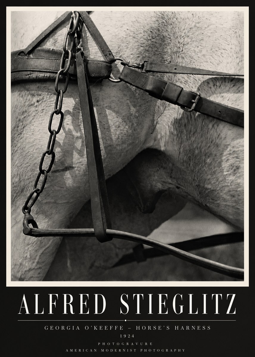 Alfred Stieglitz The Steerage I No4 - Plakat