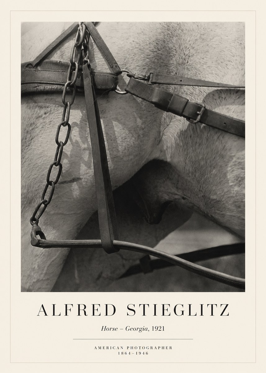 Alfred Stieglitz The Steerage I No6 - Plakat