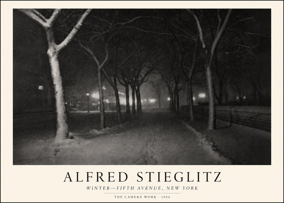 Alfred Stieglitz Winter—fifth Avenue, New York No1 - Plakat