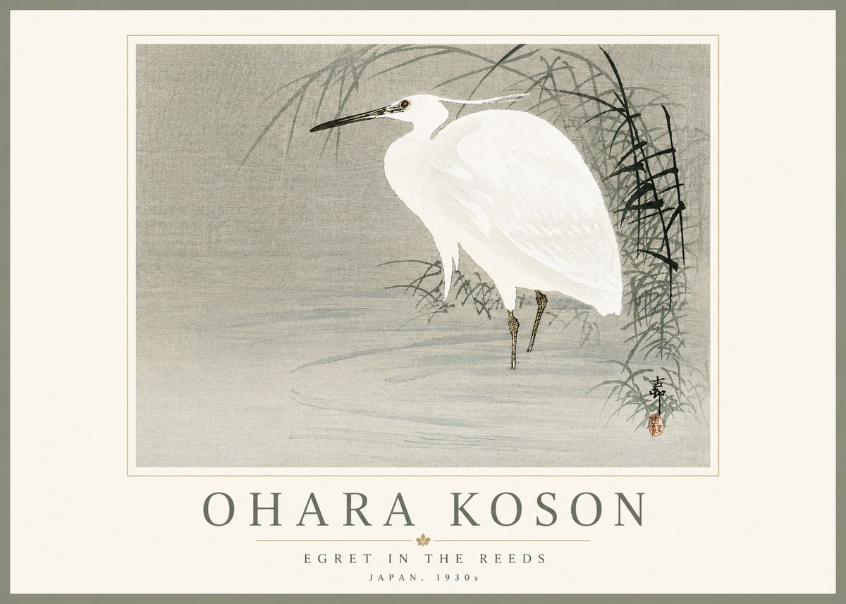 Ohara Koson Egret in the Reeds No5 - Plakat