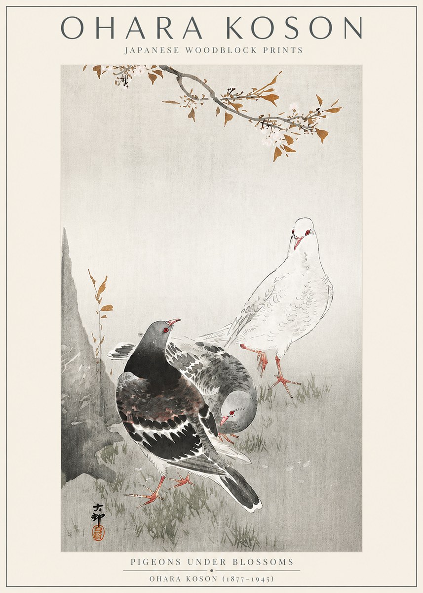 Ohara Koson Pigeons Under Blossoms No3 - Plakat