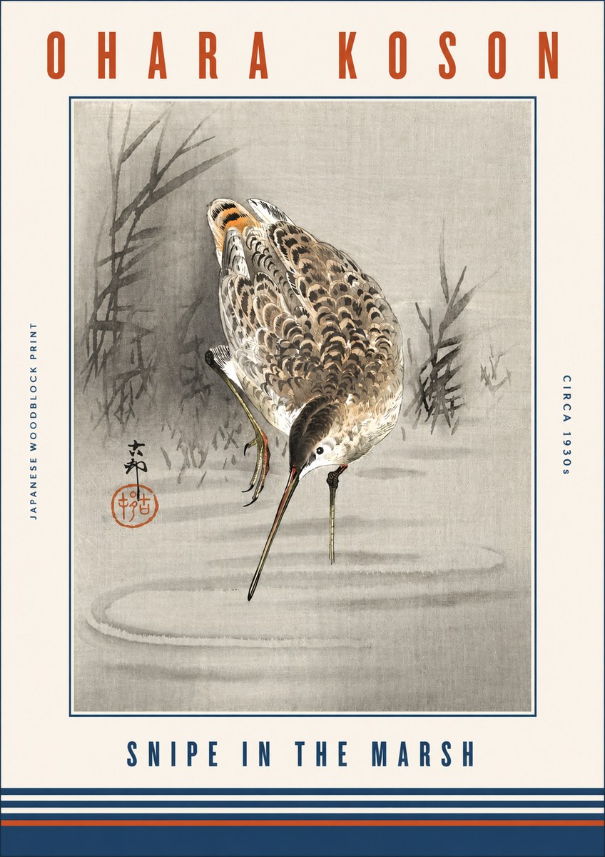 Ohara Koson Snipe in the Marsh No3 - Plakat