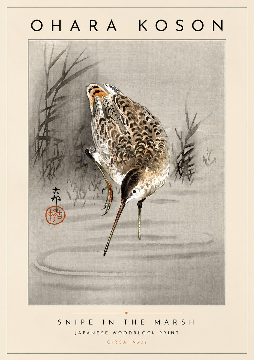 Ohara Koson Snipe in the Marsh No4 - Plakat
