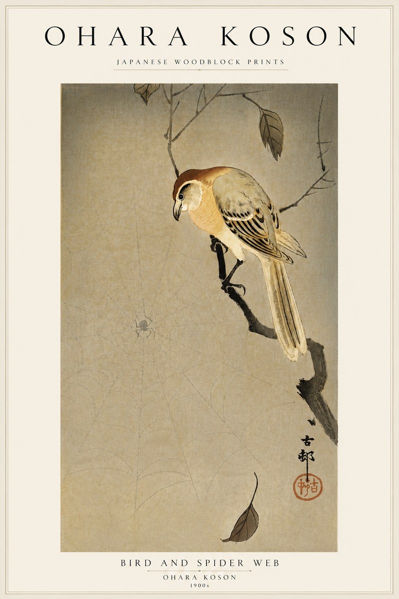 Ohara Koson Bird and Spider Web I No5 - Plakat