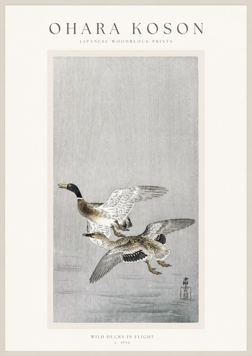 Ohara Koson Wild Ducks in Flight No1 - Plakat