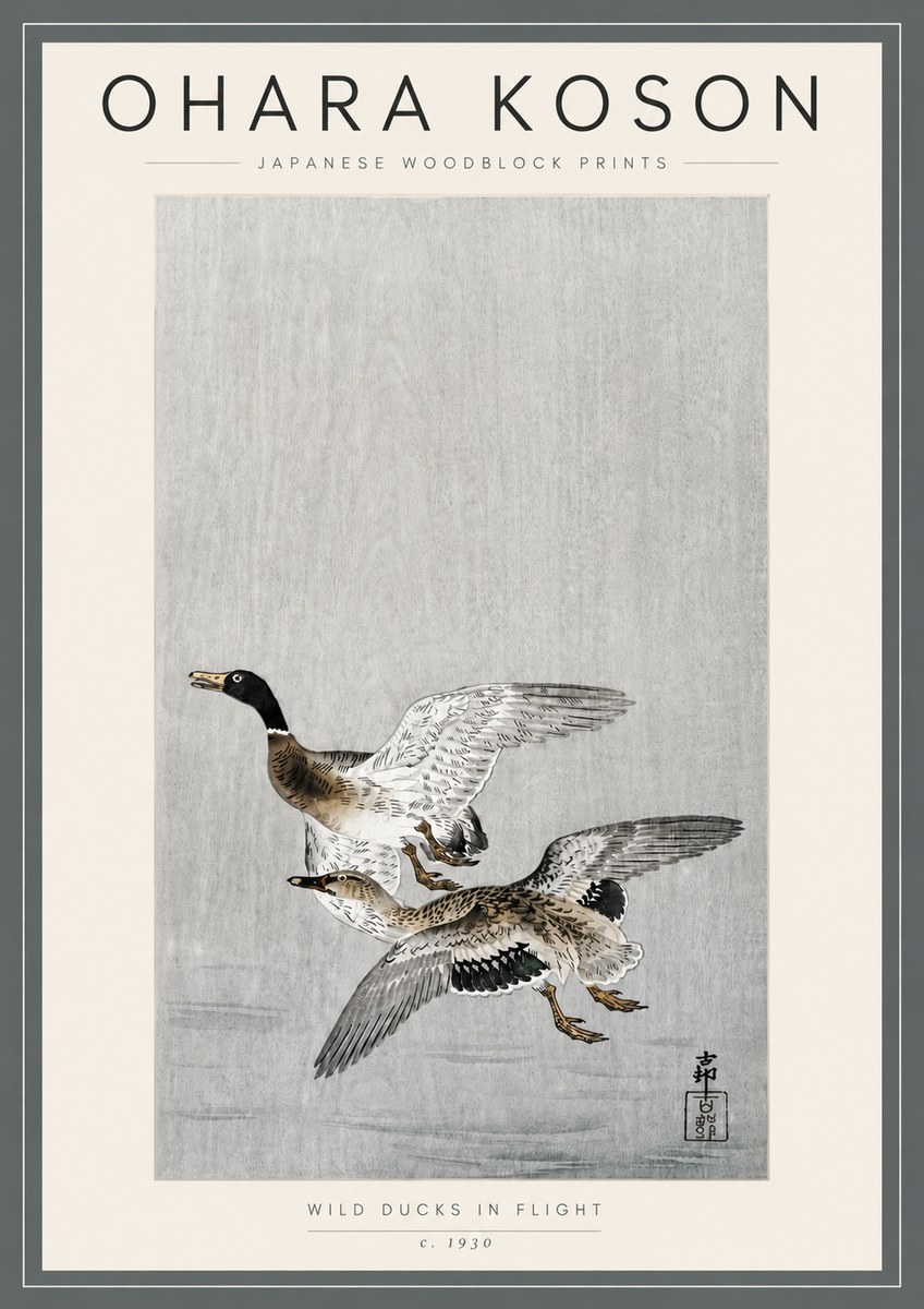 Ohara Koson Wild Ducks in Flight No5 - Plakat