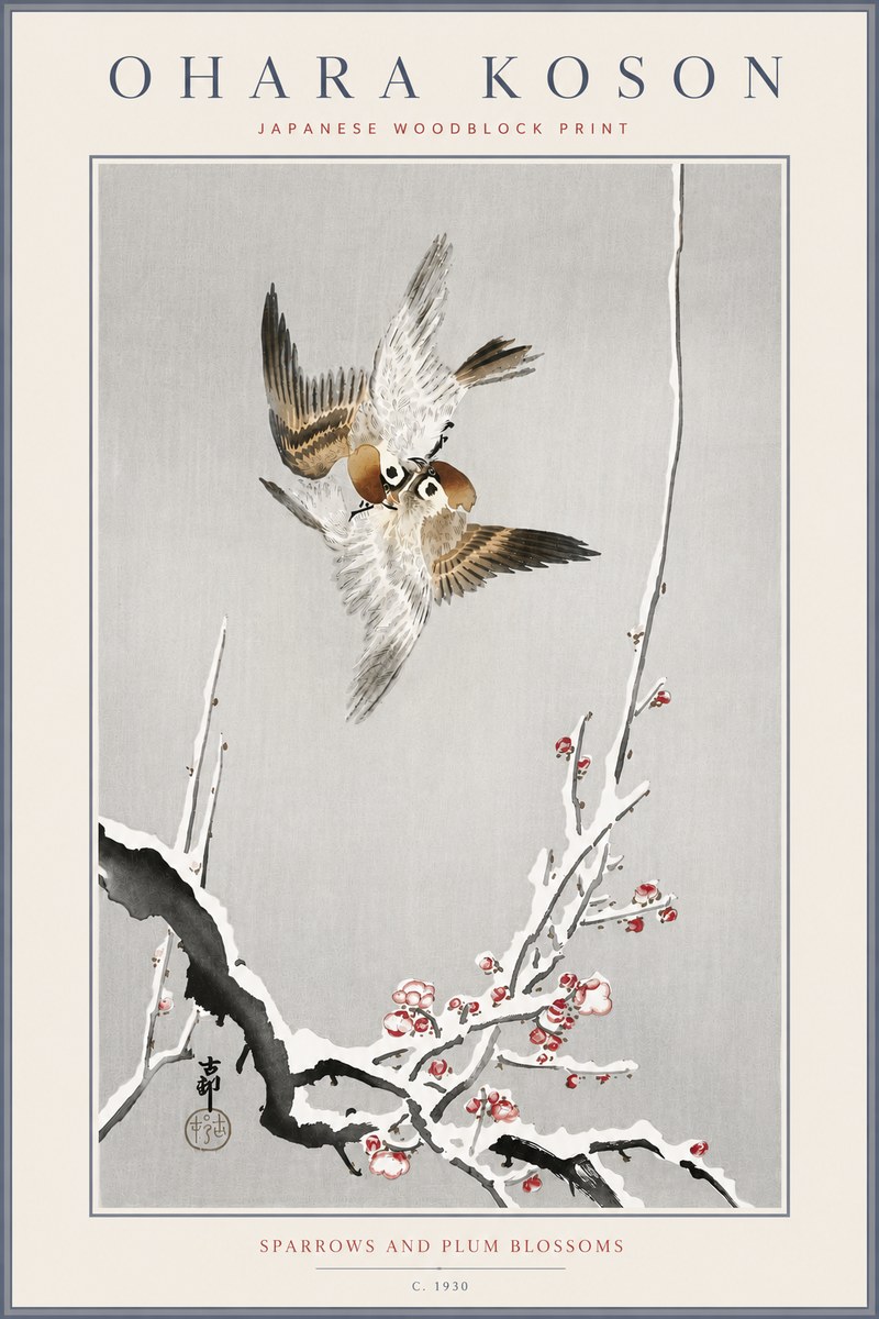 Ohara Koson Sparrows and Plum Blossoms No6 - Plakat