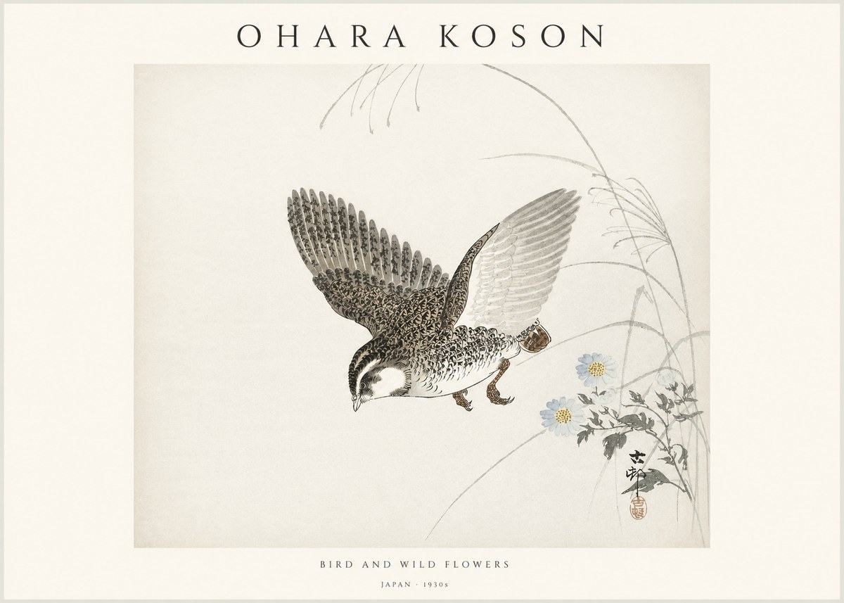 Ohara Koson Bird and Wild Flowers No1 - Plakat