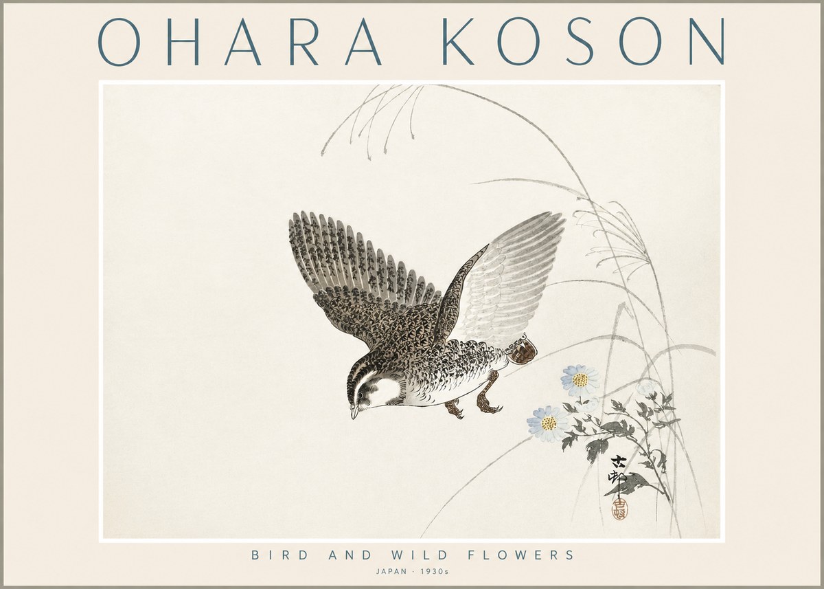 Ohara Koson Bird and Wild Flowers No2 - Plakat
