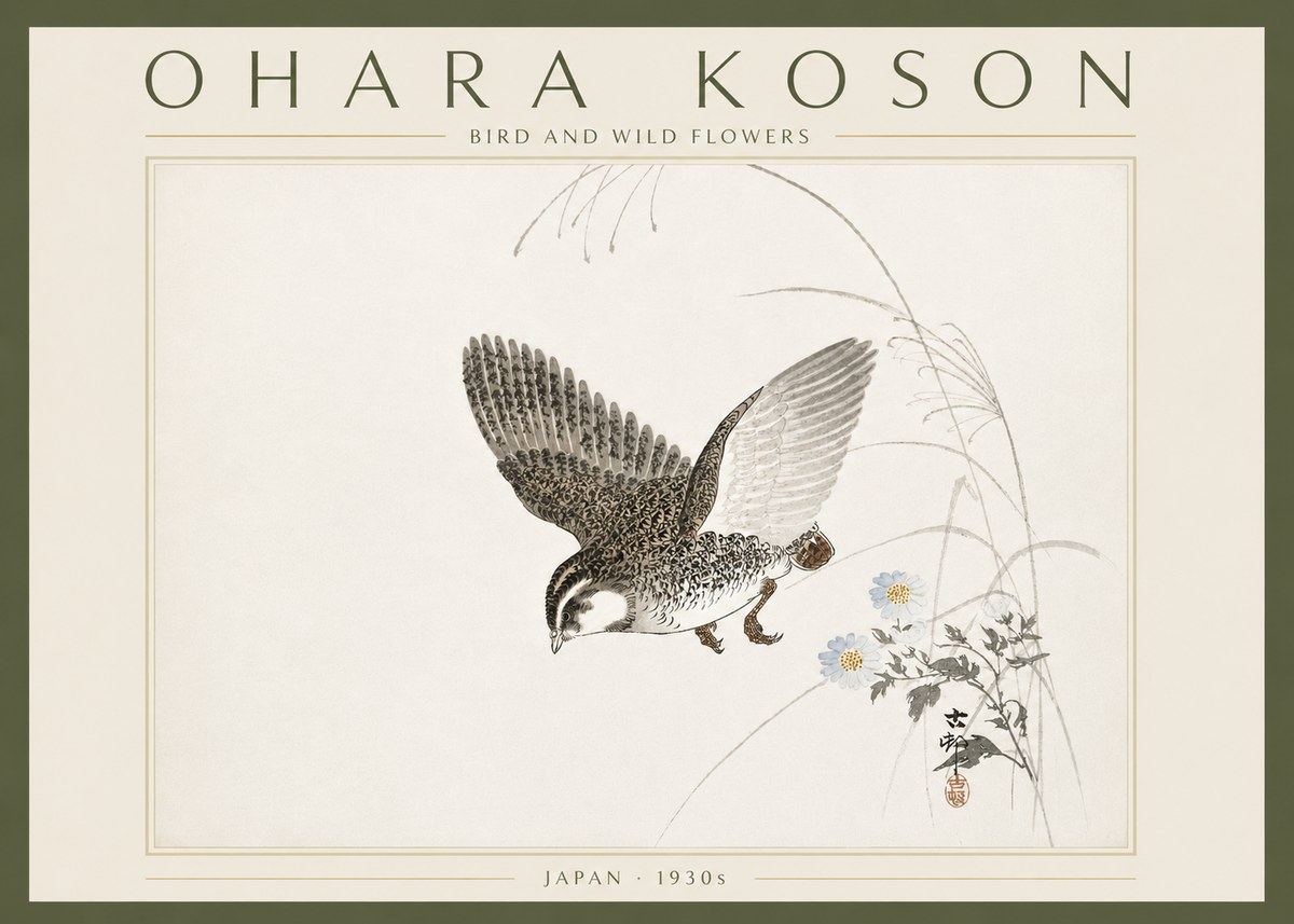 Ohara Koson Bird and Wild Flowers No6 - Plakat