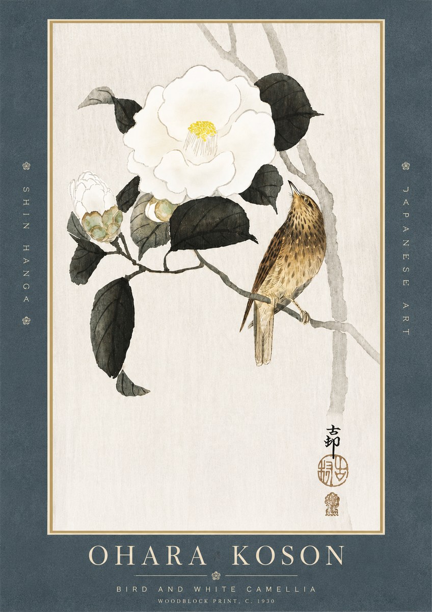 Ohara Koson Bird and White Camellia No3 - Plakat