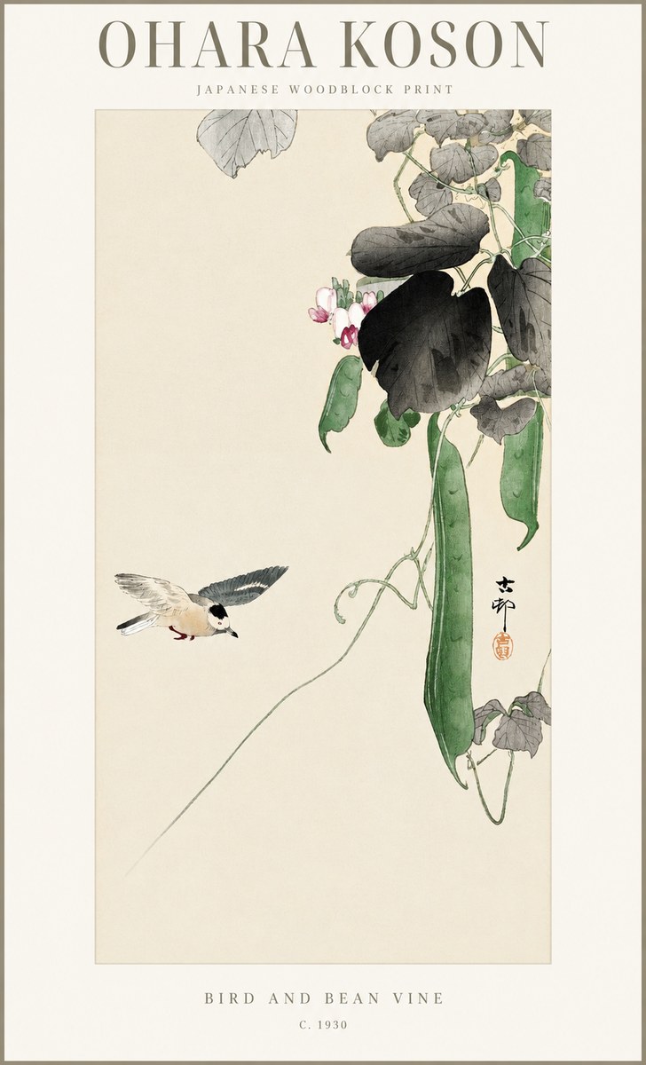 Ohara Koson Bird and Bean Vine No1 - Plakat