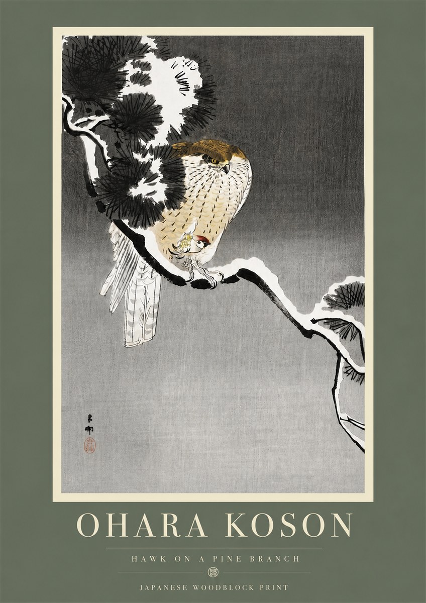 Ohara Koson Hawk on a Pine Branch No5 - Plakat
